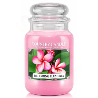 Country Candle Veľká voňavá sviečka v sklenení kvitnúca plmeria 652g