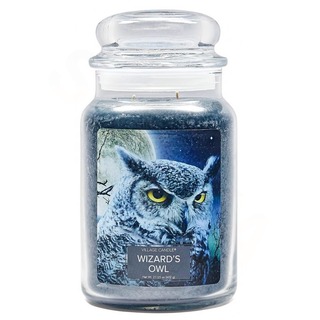 Veľká vonná sviečka v skle Wizards Owl 645g - Čarodejníkova sova